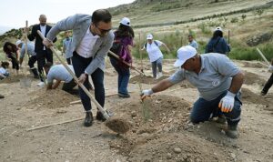 peyzaj-mimarlarindan-karsiyakaya-hatira-ormani-slasq9bA.jpg