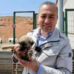 sivas-belediye-baskani-dr-adem-uzun-sokak-hayvanlari-bakim-ve-rehabilite-merkezini-ziyaret-etti-l5KIBYOq.jpg