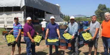 superior-seedless-cesidi-sofralik-uzumun-ihracat-yolculugu-11-temmuzda-basladi.jpg