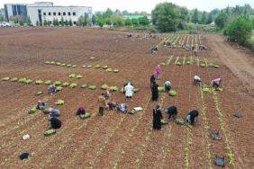 tabip-ogrencilere-anlatildi-5-milyon-fide-toprakla-bulusturuldu.jpg
