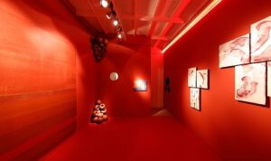 tam-mat-renkler-nippon-paintin-yeni-serisi-deepmattta-4b7hwgth.jpg