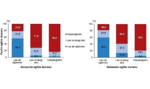 tuik-dezavantajlarin-kusaklararasi-aktarimi-2023-MXcMfesx.jpg