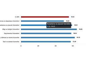 tuik-hizmet-uretici-fiyat-endeksi-h-ufe-yillik-%5534-artti-aylik-024-artti.jpg