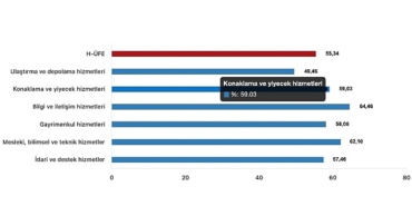 tuik-hizmet-uretici-fiyat-endeksi-h-ufe-yillik-%5534-artti-aylik-024-artti.jpg