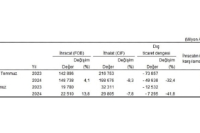 tuik-temmuz-ayinda-genel-ticaret-sistemine-gore-ihracat-%138-artti-ithalat-78-azaldi.jpg