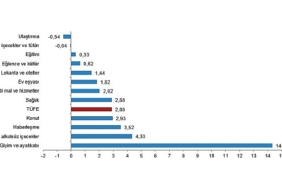 tuik-tuketici-fiyat-endeksi-tufe-yillik-%4858-aylik-288-artti.jpg