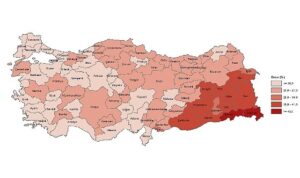 tuik-yuksekogretim-mezunlarinin-orani-25-yas-ve-uzeri-nufusta-246-oldu-HEZAUaXQ.jpg