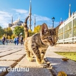turkiyenin-buyuk-sehirlerinde-eylul-ayinin-ortalarinda-gorulen-sicak-ve-gunesli-havalar-yerini-serin-ve-yagisli-havaya-birakacak.jpg