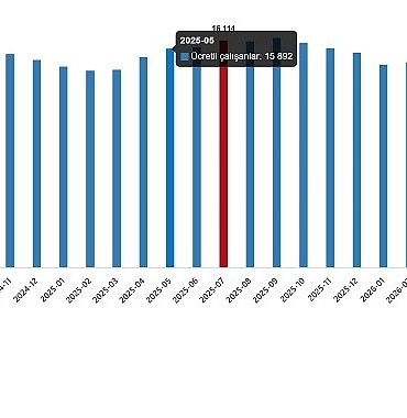 Ücretli Çalışan İstatistikleri, Temmuz 2026