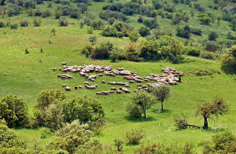 Doğru Güneş Kremi Nasıl Seçilir?