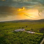 uploaded-image-domain-nedir-1699697008215