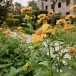 uploaded-image-kayrak-tasi-nedir-fiyatlari-nelerdir-doseme-ve-kaplama-1699696856293