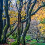 uploaded-image-kirisikliklar-neden-olur-1699697051963