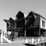 uploaded-image-uc-maymunun-hikayesi-1699696893887