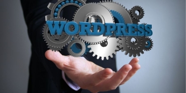 wordpess uzmanı (1)