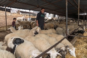 yangin-magduru-ciftcilere-225-ton-yem-destegi.jpg