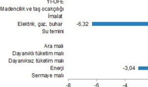 yurt-ici-uretici-fiyat-endeksi-ocak-2024-6UhxUYYh.jpg