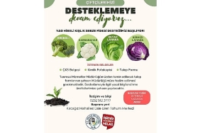 yuzde-50-hibeli-kislik-sebze-fidesi-basvurulari-basliyor.jpg